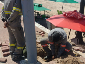 Mais de 800 metros de cabos são furtados na orla de Maceió