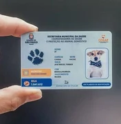 Saiba como funciona o SinPatinhas, novo RG Animal para cães e gatos