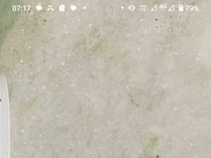 Jovem é flagrado com maconha e crack na zona rural de Maragogi