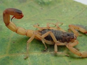 Hospital de Emergência é referência em Arapiraca