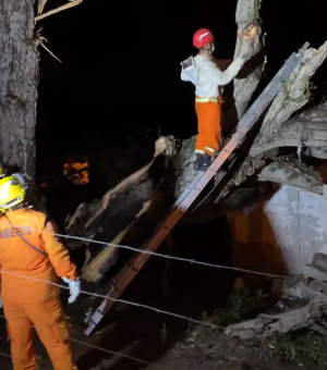 Raio atinge árvore centenária que desaba em residências na cidade de Santana do Ipanema