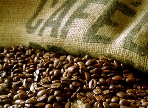 Tecnologia aumenta a produtividade e a rentabilidade do café no Brasil