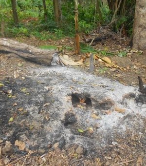 IMA monitora focos de queimadas em áreas de Proteção Ambiental em AL