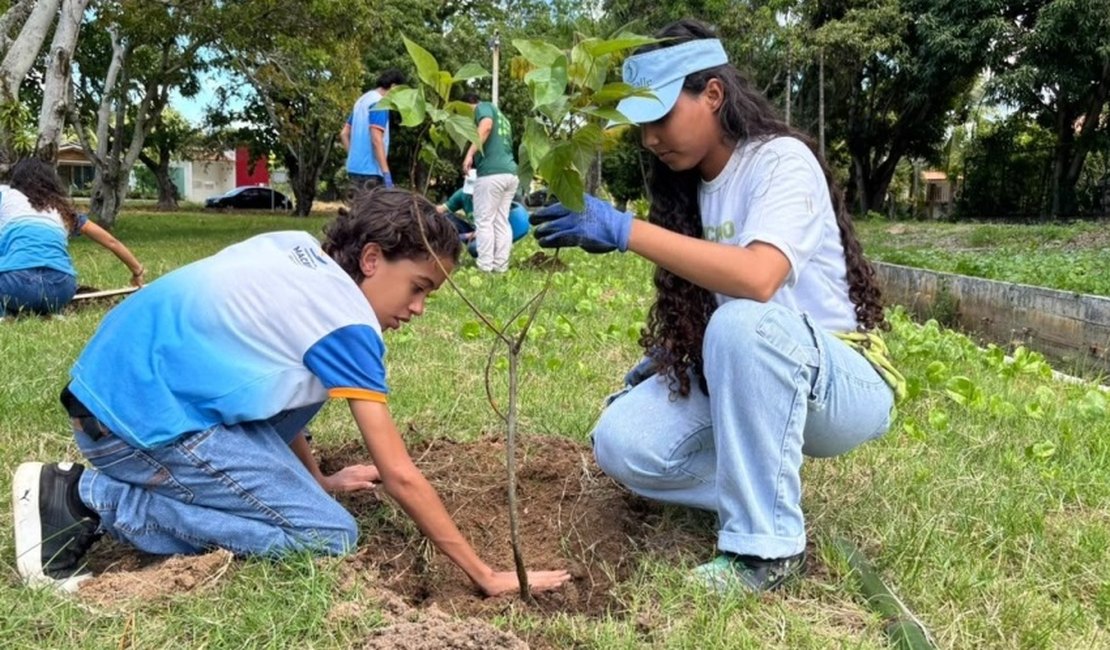 Dia da Árvore é celebrado em Maceió com plantio de 40 mudas nativas e frutíferas