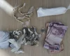 Jovem e adolescente caem de moto e são detidos com drogas no município de Maragogi