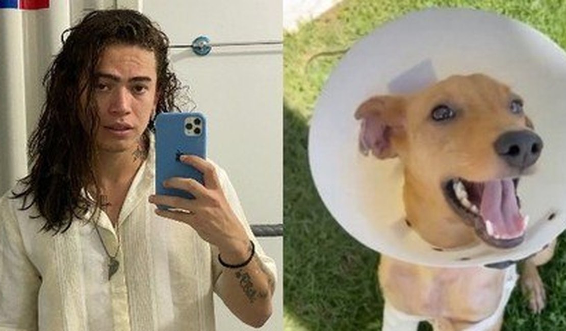 Whindersson adota cachorro vítima de maus-tratos: 'Jogaram ácido'