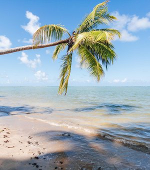 Litoral Norte é finalista em duas categorias do prêmio 'O Melhor do Turismo Brasileiro'