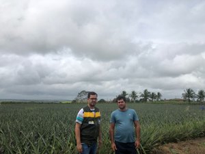 Por meio da diversificação agrícola, agricultor aumenta renda anual em quase 80%