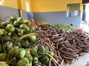 Emater investe quase R$ 7 milhões na compra e doação de 2,6 mil toneladas de alimentos do PAA em 2021