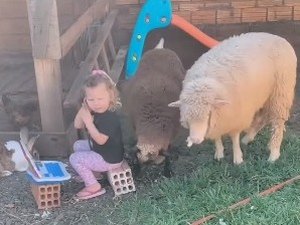 Menina de 2 anos encanta a web ao brincar de veterinária com muita criatividade