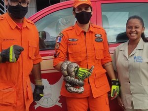 Jiboia é resgatada de residência em Porto de Pedras