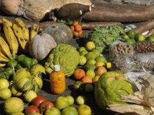 Governo muda regras para empréstimo a agricultores familiares