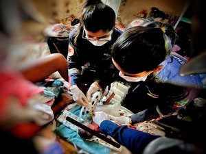 Samu atende parto prematuro domiciliar em Maceió e salva bebê e mãe