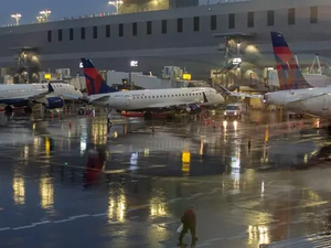 Passageiro salta de avião em movimento com um cachorro em Nova York