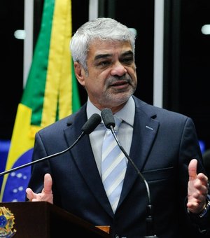 Senador teme que desmatamento triplique até o fim do governo Bolsonaro