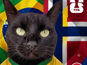 Gato vidente que acertou resultados da Copa faz previsão para Brasil x Noruega