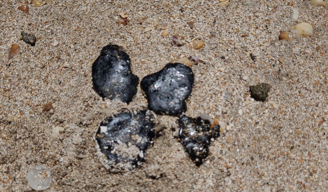 Manchas de óleo são encontradas na Praia do Toque, em São Miguel dos Milagres