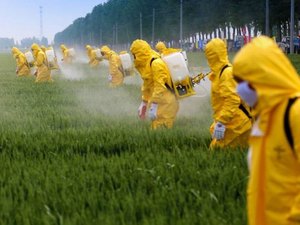 Governo autoriza mais 63 agrotóxicos e total de registros em 2019 chega a 325