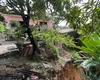 Chuva provoca deslizamento de terra e compromete estrutura de casa no São Jorge