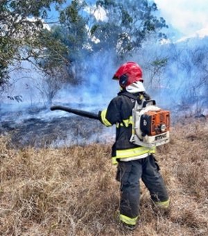 Bombeiros registram mais de 1.300 incêndios em Alagoas de janeiro de 2020 a novembro de 2021