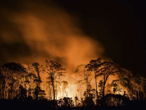 Planeta está se aproximando de ponto sem volta, alertam cientistas