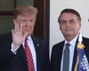 Trump afirma que acusações contra Bolsonaro são “execução política”