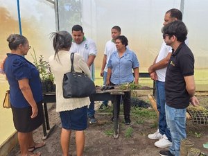 Ifal abre inscrições para curso superior de Horticultura em Maragogi