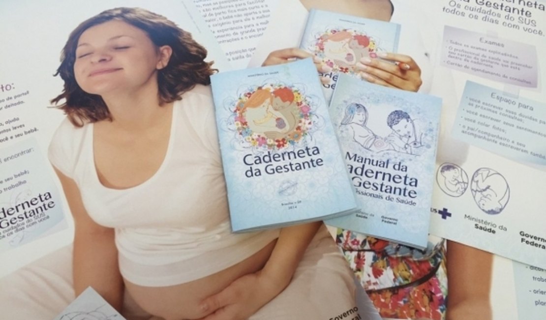 Cadernetas orientam gestantes contra o Aedes aegypti