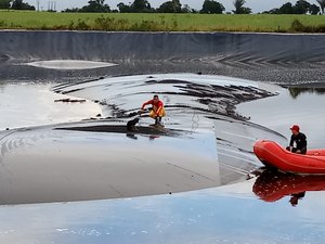 Cachorro é resgatado em taque de Usina em São Miguel dos Campos