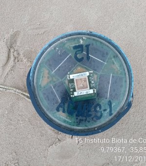 Mais um dispositivo de pesca ilegal é encontrado na praia do Francês
