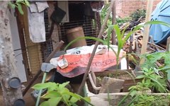 Escorpiões estão invadindo residências no bairro Eldorado e assustando moradores em Arapiraca