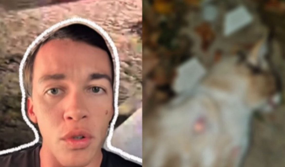 Deputado Delegado Leonan cobra punição a criminosos que atiraram em gatos no município de Arapiraca