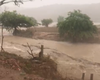 [Vídeo] Chuva forte em Traipu faz riachos transbordarem na tarde desta terça (14)