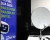 Edital vai destinar R$ 1 milhão a projetos sustentáveis no Nordeste