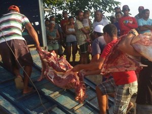 Matadouros em São Brás são autuados pela FPI
