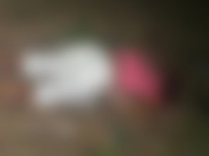 Homem é encontrado morto em São Luís do Quitunde