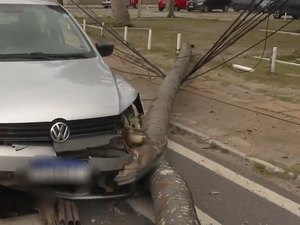 Árvore cai e atinge veículo no bairro de Cruz das Almas