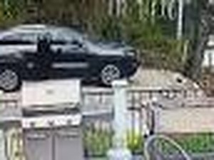 Prontos para dirigir? Ursos abrem portas e invadem carro nos EUA; veja