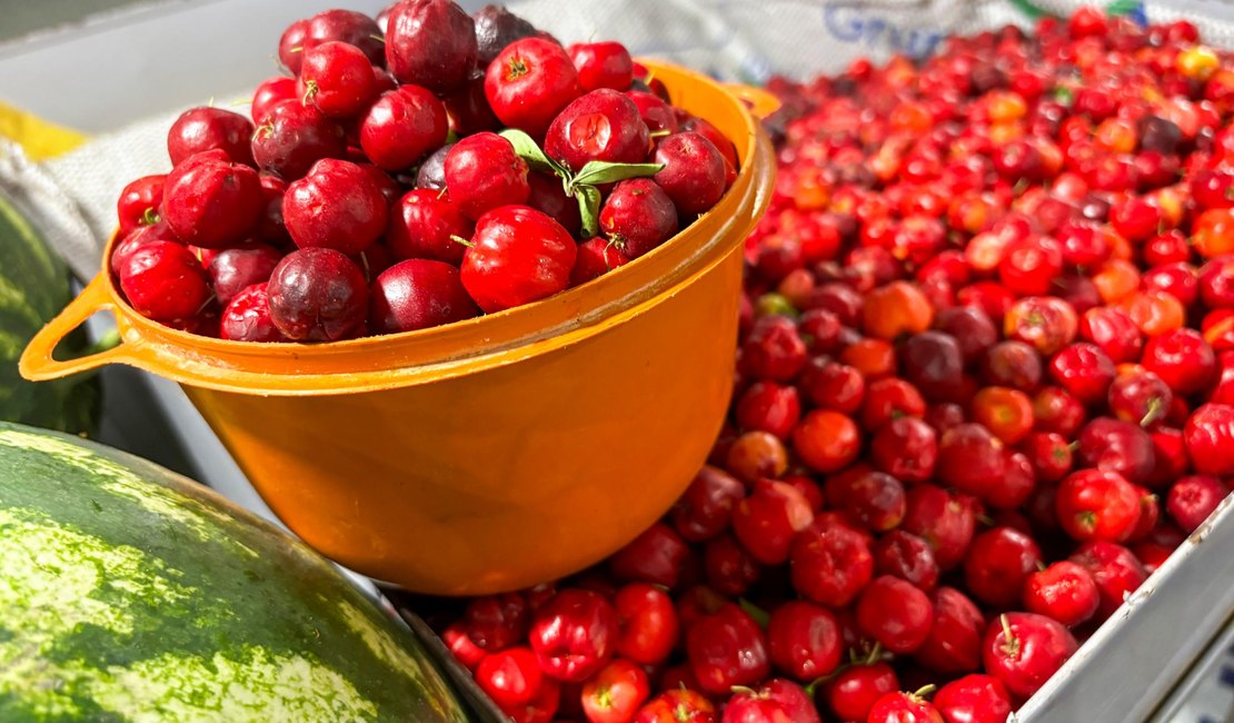 Maragogi recebe etapa Região Norte do Circuito Regional de Feiras da Agricultura Familiar