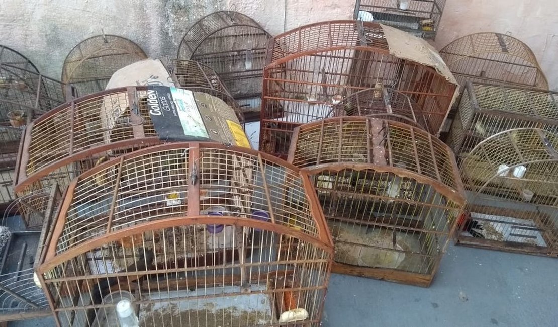 PF de SP faz operação contra tráfico de animais silvestres e prende um dos maiores traficantes do país