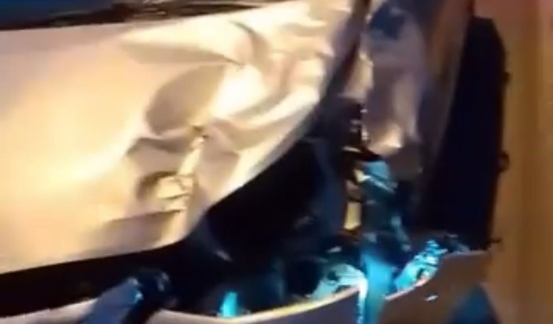 Acidente com animal solto volta a preocupar motoristas em Delmiro Gouveia