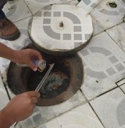 Picada de escorpião: saiba como evitar acidentes e como agir em caso de picada