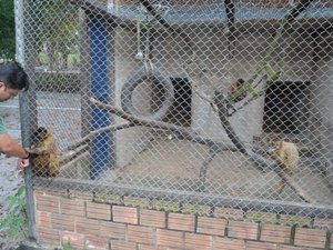 Ação voltada ao bem-estar animal será realizada por alunos de veterinária nesta sexta