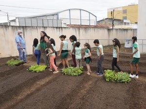 Projeto piloto de horta urbana é implantado em escola de Palmeira