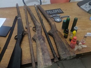 Homem é preso com três espingardas em Colônia de Leopoldina