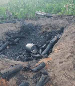 Operação resgata aves silvestres e apreende 11 armas de fogo em Alagoas