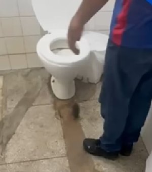 Rato é encontrado 'passeando' dentro de unidade de saúde em Olho D'Água das Flores