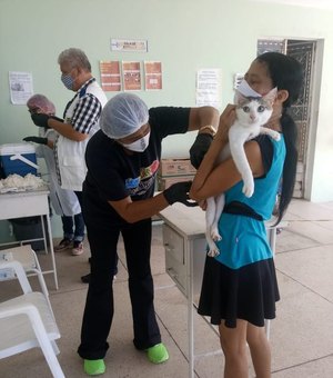Antirrábica: Gatos serão vacinados no Pinheiro na próxima segunda-feira (09)