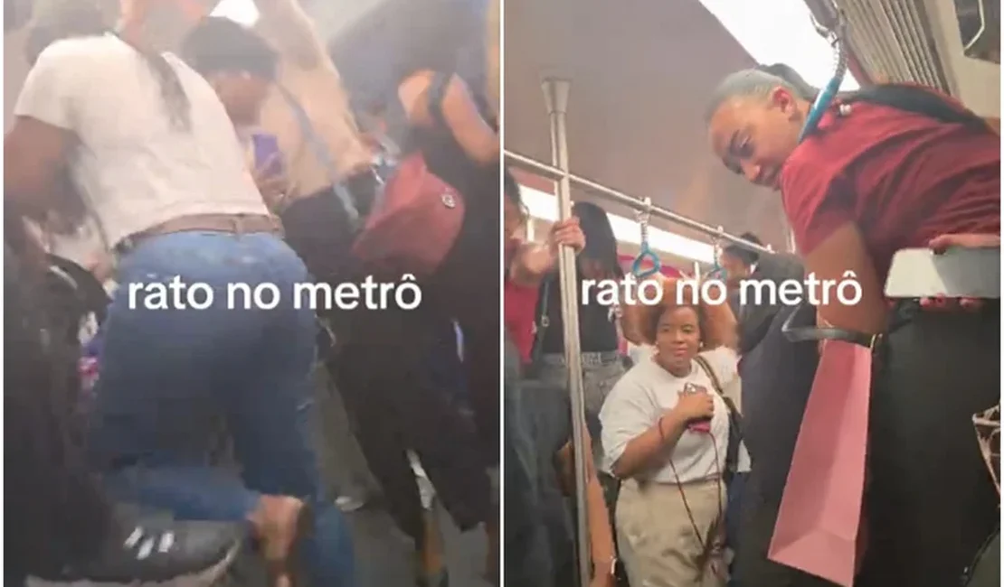 Rato invade vagão feminino do metrô e causa pânico entre passageiras