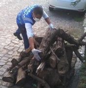 Fiscalização para coibir fogueiras e fogos no período junino segue em Maceió